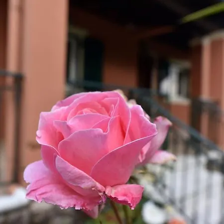 Melian - 8' From Kontogialos *